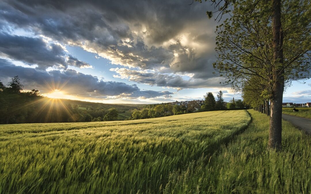 La proposition de loi TRACE poursuit son chemin au sein de la navette parlementaire